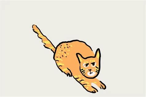 Best emergency veterinarians in Philadelphia