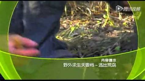 CCTV-10《大"真"探》——野外求生夫妻档_腾讯视频