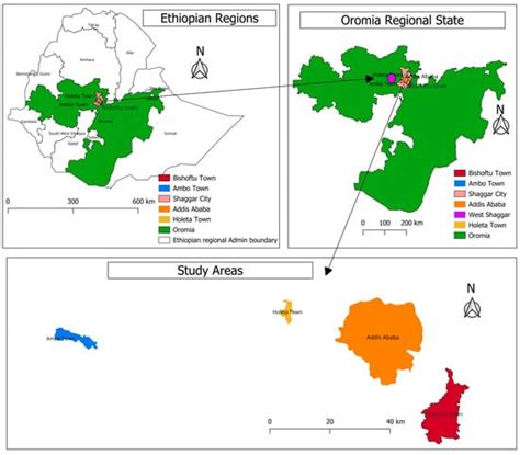 Quantitative Assessment of Major Biosecurity Challenges of Poultry ...