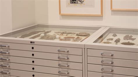 Glass Top Museum Drawer Cabinets | Southwest Solutions Group