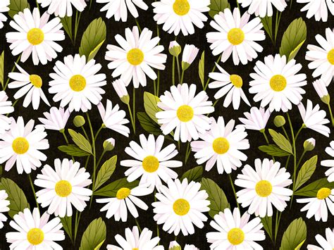 Image result for Pattern InDesign