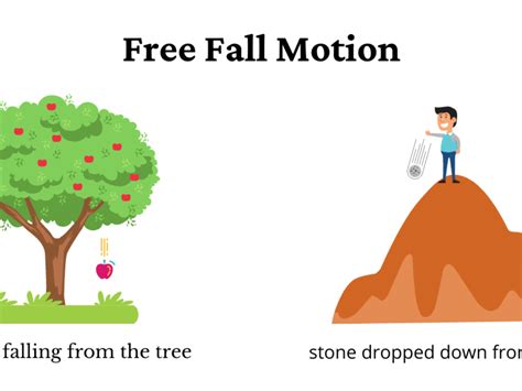 Image result for Free Fall Example