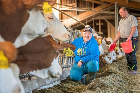 Verlängerte Zwischenkalbezeit: Wem bringt es was? | agrarheute.com