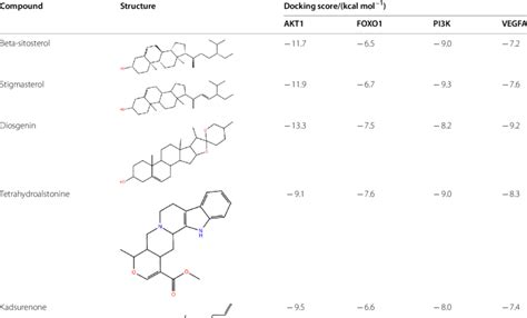 Image result for Docking Score
