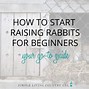Image result for Raising Baby Rabbits