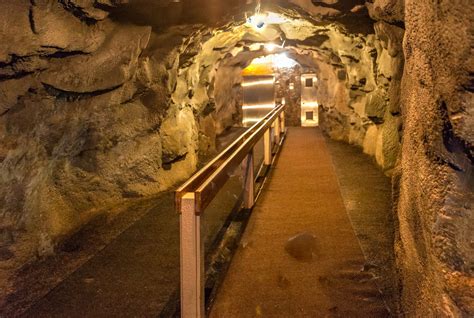 Visit the Sea Lion Caves in Oregon - Gate to Adventures