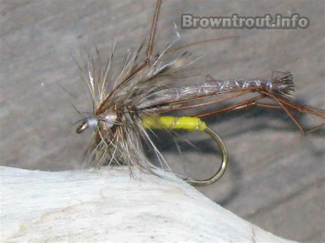 Image result for Trout Fly Patterns Free
