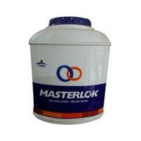 Masterlok Synthetic Adhesive - 10 Kg Pidilite | Multi Colour Adhesives ...