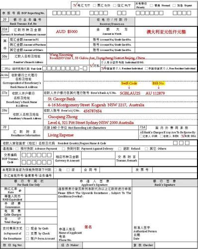 中国银行 境外汇款申请书样板(最新版)_word文档在线阅读与下载_免费文档