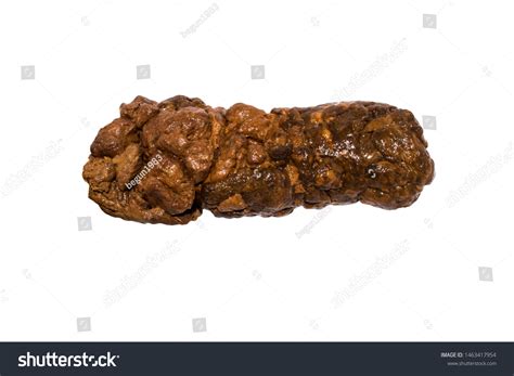 Image result for Poop Out of a Tree
