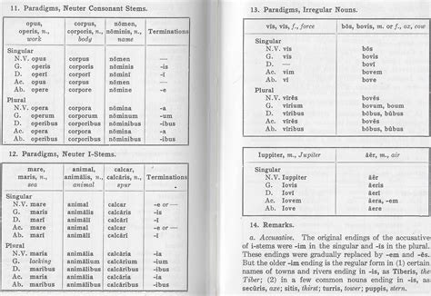 Nouns & Adjective Declensions/Paradigms — Latin for Rabbits