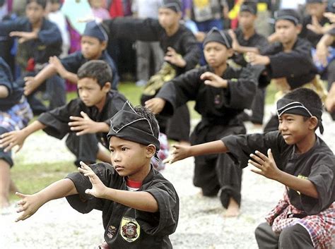 Image result for Silat Boxing