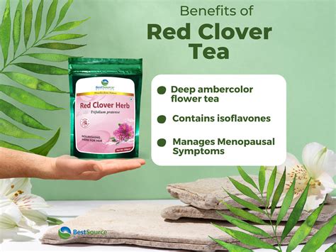 Red Clover Herb for Women’s Wellness & Hormonal Support | BestSource ...