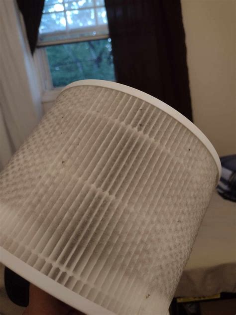 How Often Should I Replace My Air Purifier Filter: Expert Tips