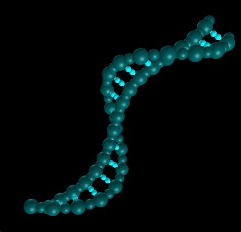 DNA分子结构3D模型 - twaver - 博客园