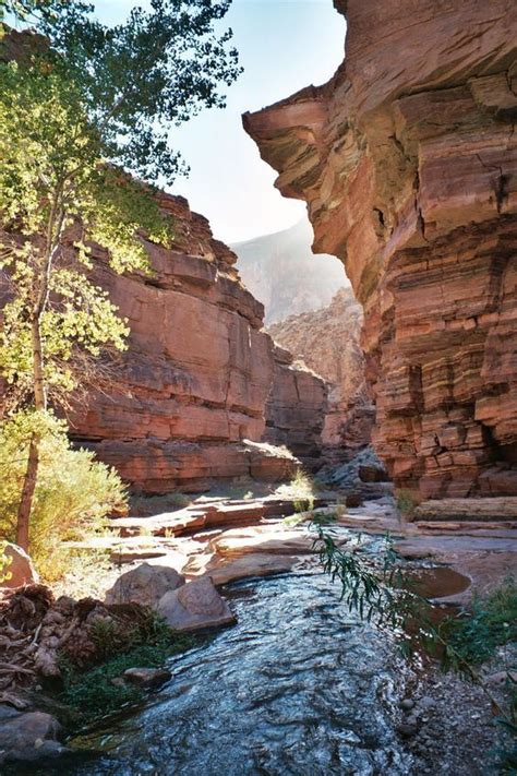 Deer Creek Campground Colorado: RV Camping & Hiking