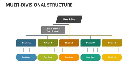 Divisional Structure Template Example 的图像结果