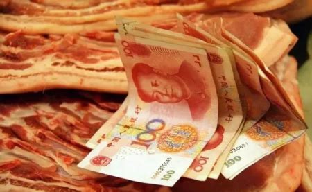十年稳居全球最大猪肉消费国 中国市场是怎么样的？|生猪生产_新浪财经_新浪网