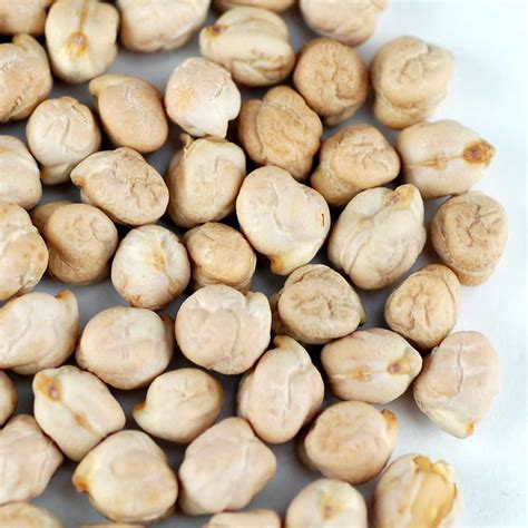 Organic Garbanzo Beans - 1 Oz Packet ~75 Seeds - Heirloom, Non-GMO ...