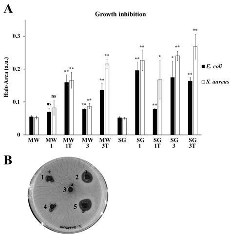 Silver Doped Magnesium Ferrite Nanoparticles: Physico-Chemical ...
