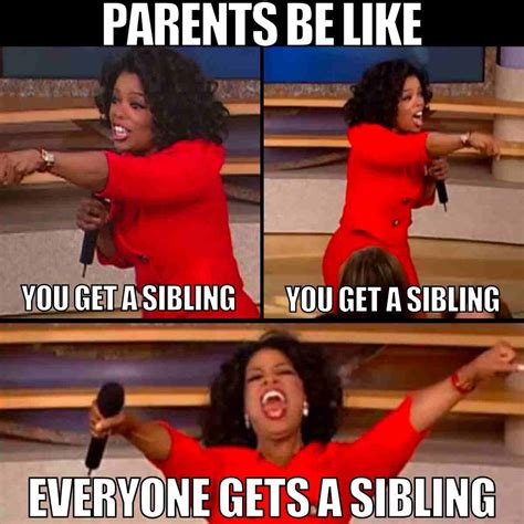 50 Hilarious Sibling Memes: From Fights To Fun!