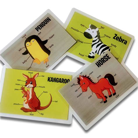 Zooplay India
