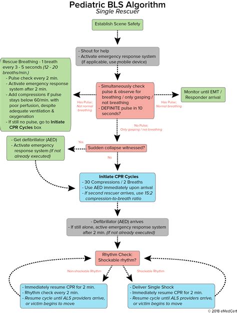 Image result for AHA Pediatric BLS Algorithm
