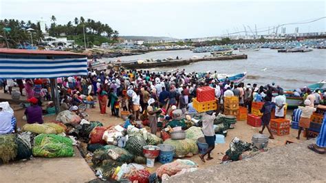 Fish from Sea - Reviews, Photos - Kovalam Fish Market - Tripadvisor