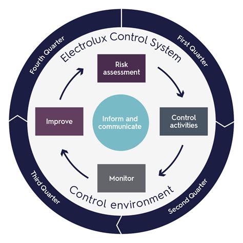 Internal Control System 的图像结果