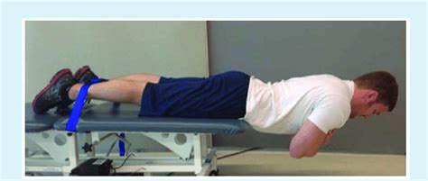 How to Muscle Test Lumbar Extensor Muscles 的图像结果