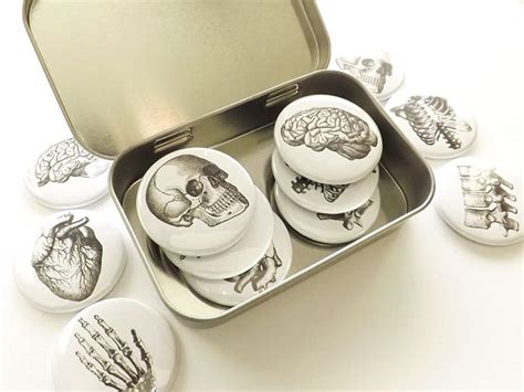 Artalteredelements Anatomy 6 Magnets with tin Gift Set skull brain ...