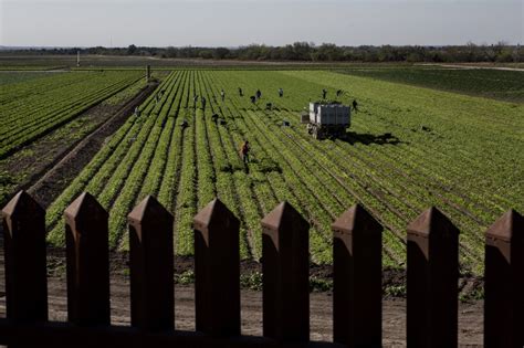 Fotos: ‘Cruzar el muro’ | Opinión | EL PAÍS