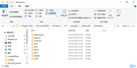 DirectShow VB.NET Example 的图像结果