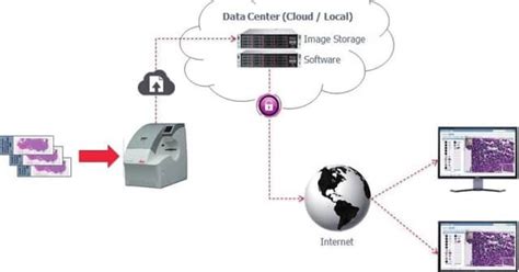 Image result for Virtual Microscopy Applications