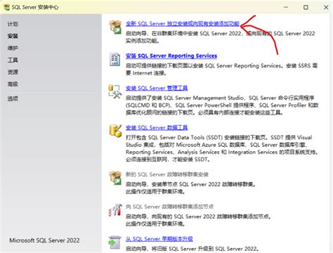 VS2022 SQL Server Tutorial 的图像结果