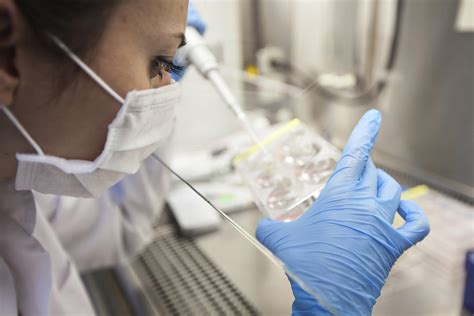 Culture Art 的图像结果