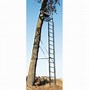Image result for Ladder Stand Setup