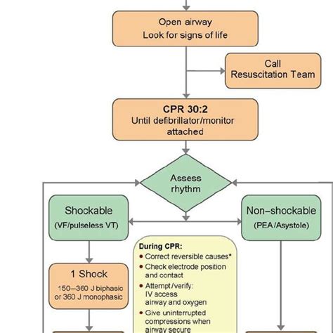 Advanced Trauma Life Support Algorithm 的图像结果