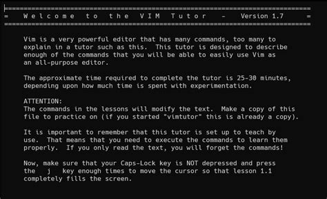 Simvim Tutorial 的图像结果