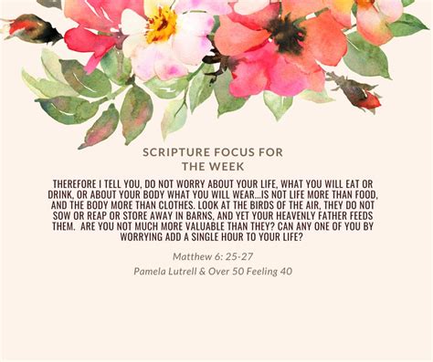 Image result for Scripture Reflections