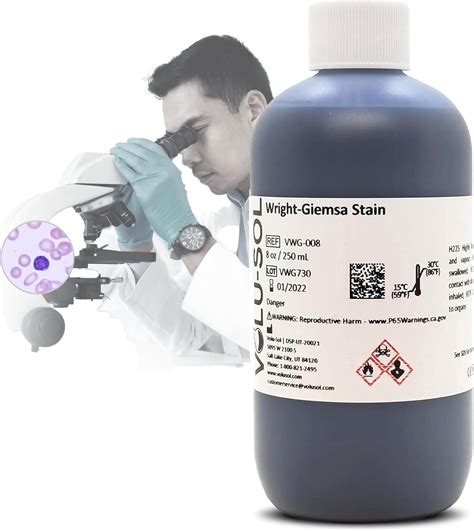 Amazon.com: Volu-Sol Wright-Giemsa Stain - Professional Hematology ...