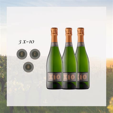 Lot X-10 CAVA PREMIUM - Canals & Munné