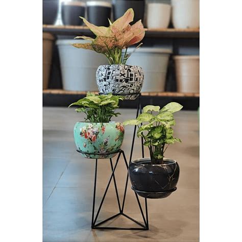 Dotted Metal Railing Planters (Single Hook) – Leafy Island