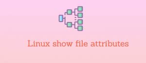 File Attributes Linux 的图像结果