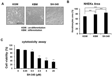 Novel Quinazoline Derivative Induces Differentiation of Keratinocytes ...