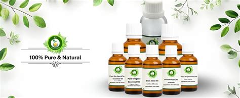 Buy R V Essential Pure Nagarmotha Essential Oil 5ml- Cyperus Scariosus ...