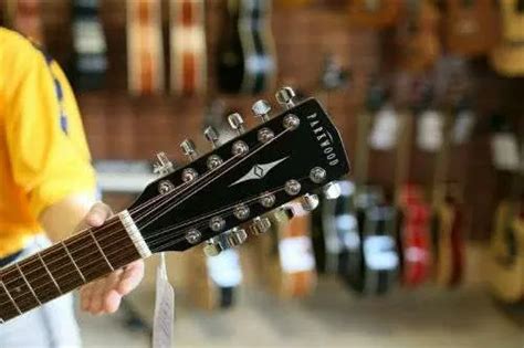 Image result for Twelve-string guitar Tuning