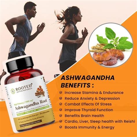 Rooted Actives Ashwagandha extract with Reishi & Black pepper extract