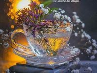 ��. �������� � ��������� �����������. 900+ id?es de Bonsoir bonne soir?e en 2025 | bonne soir?e, image bonne ...