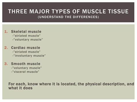 Image result for Chapter 7 Study Guide